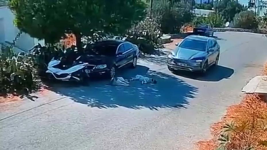 Otomobilin İki Köpeğin Üzerinden Geçip, Yoluna Devam Etmesi Güvenlik Kamerasına Yansıdı
