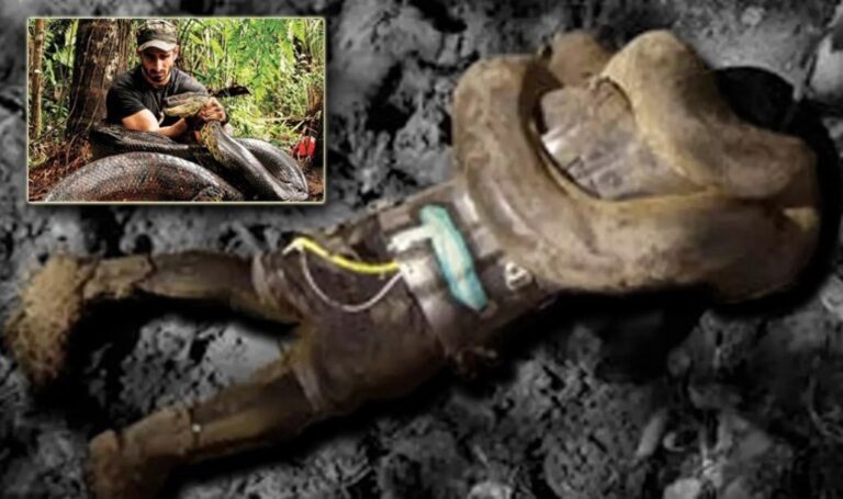 Dev yılan tarafından canlı canlı yutuldu! – Son dakika hayatı, dünya haberleri