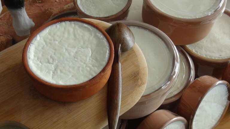 Anadolu mayaları 'yeni yoğurt formülasyonu' ile sofralara gelecek