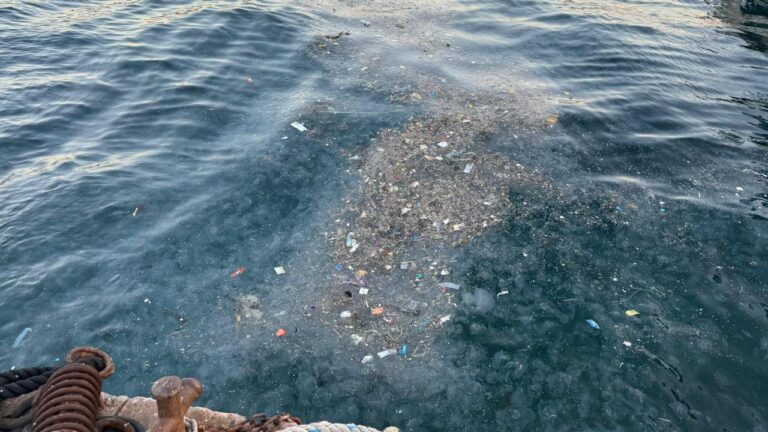 İstanbul’da Deniz Dirty – Son dakika haberleri