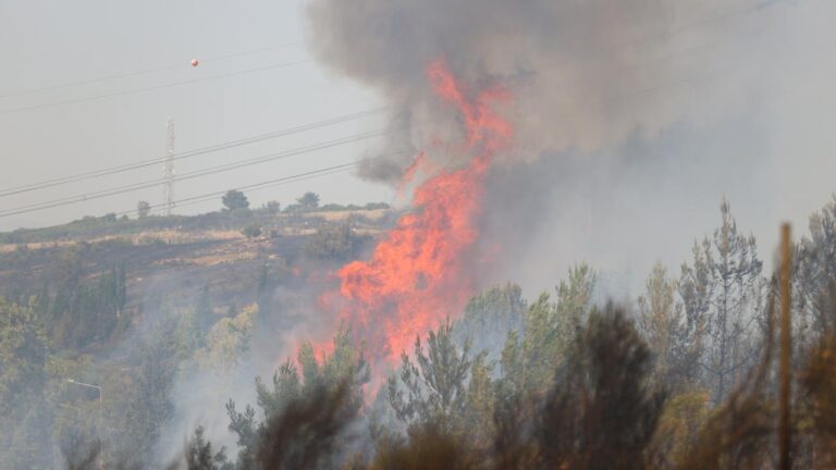 İzmir'e ateşe neden olan kişi tutuldu