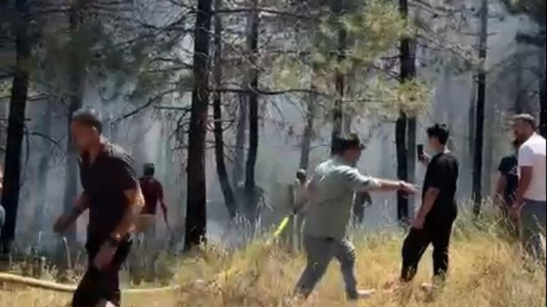 İstanbul'daki Aydos Ormanı'nda bir yangın çıktı