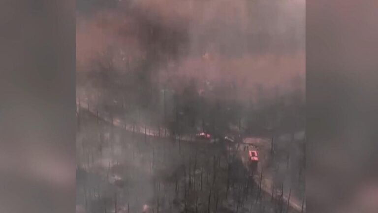 Şehit ormanının kahramanlarının araçlarının havada görüldüğü alan