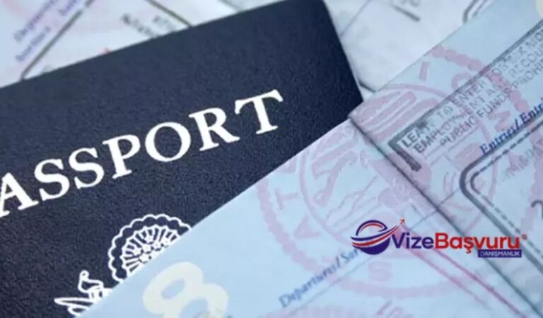 Online Vize Başvurusu ile dünya kapılarını kolayca aralayın