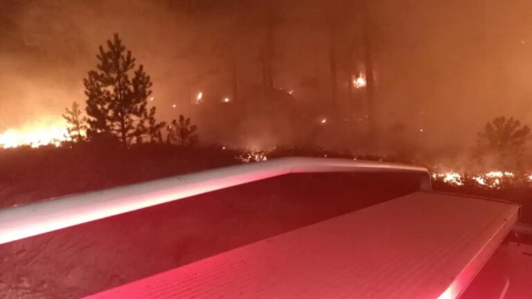 Orman Ateşi Yatağan – Türkiye Haberlerini Kırma