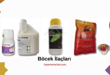 bocek ilaçları