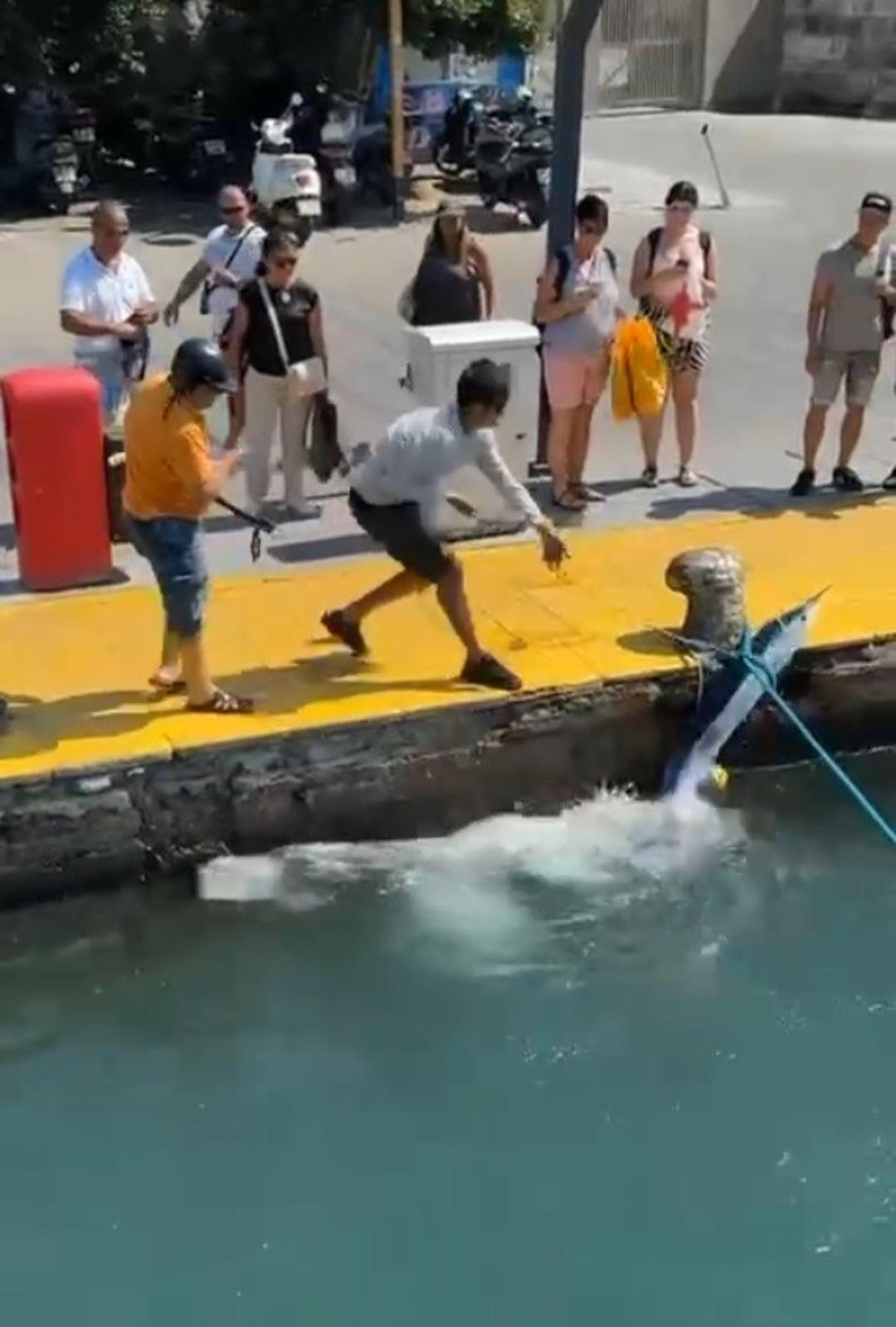 Çok vazgeç! Harpoon 3 ile limanda balık yok olmasını vurdular